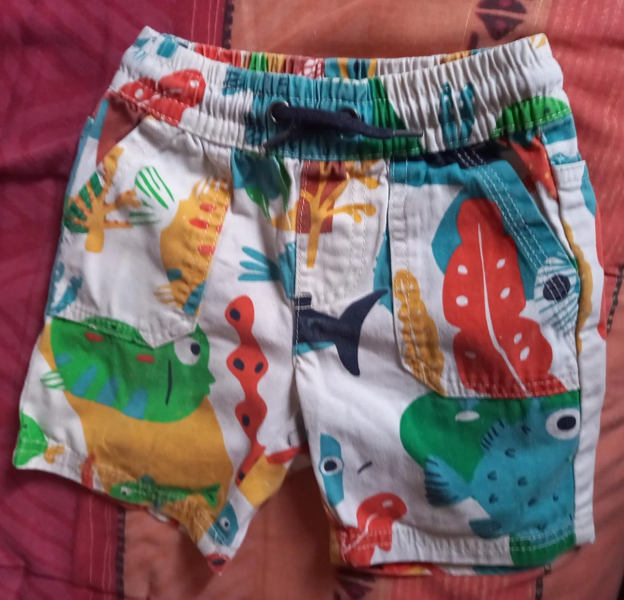 Conjunto Dpam/In Extenso 3 anos – photo 2